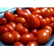 Pomodoro datterino  (30 semi) - pomodorino pomodorini