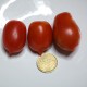 Pomodoro pendolino (30 semi) - pomodorino piennolo spunzillo pendolo