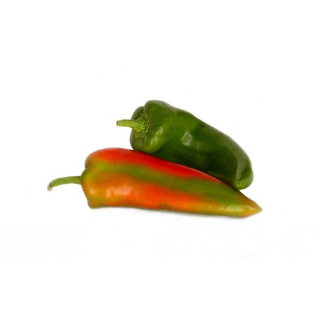 Peperone a corno "Nocera" rosso e verde (20 semi) - peperoni