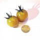 Pomodoro invernale giallo  (30 semi) - pomodori gialli - pomodorino pomodorini