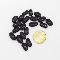 Fagiolo nero rampicante (20 semi) - fagioli neri