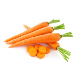 Carota Classica (50 semi) - carote arancioni