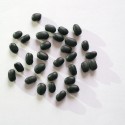 Fagiolo nero nano (30 semi) - fagioli neri