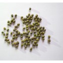 Fagioli Azuki verdi (50 semi) - Mung - soia verde